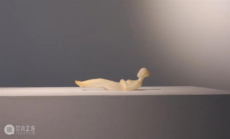 展览回顾 | 回响 ECHO 视频资讯 张嘉宁 ECHO 策展人 Curator 陆佳 Jia 艺术家 Artists 何艺雯 严许雨 张嘉宁 崇真艺客
